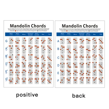 Mandolina Akordas Diagramos Vario Plokštelės Nešiojamų Pastaba Mandolina Mokymo Knyga Diagrama Priemonė Mažas
