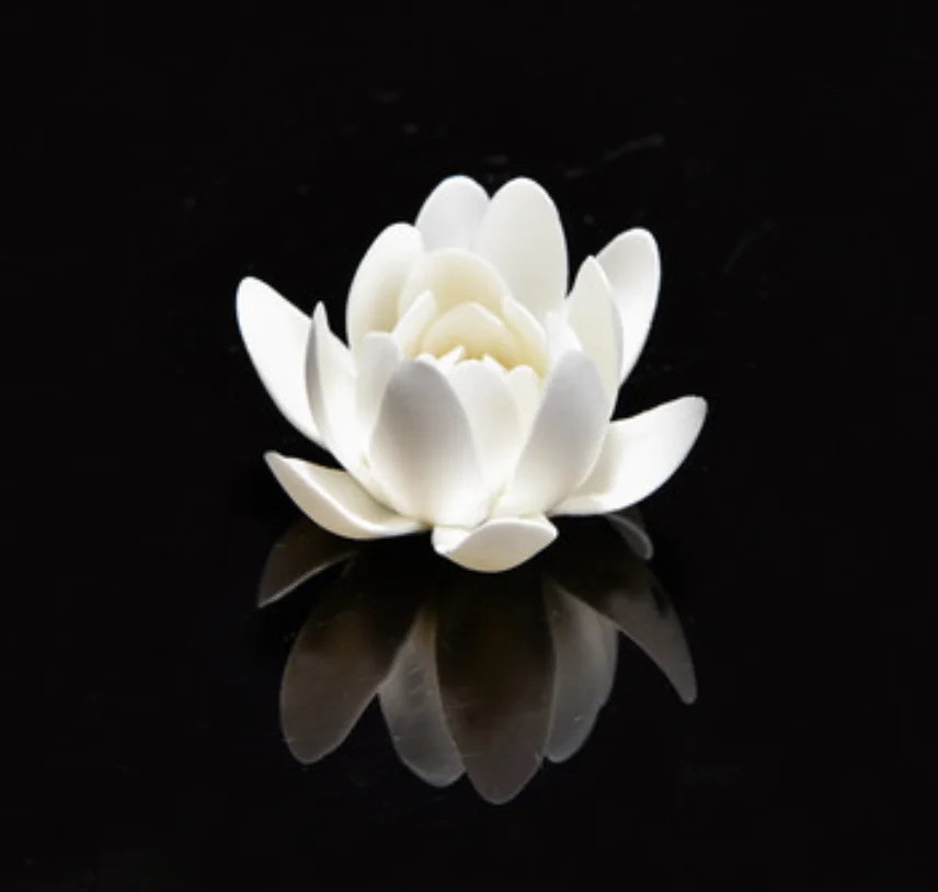 Balta Rausva Porceliano Lotus Smilkalų Degiklis Arbatos Namų Dekoro Smilkalų Lazdelės Laikiklis Keramikos Rankų Darbo Papuošalai