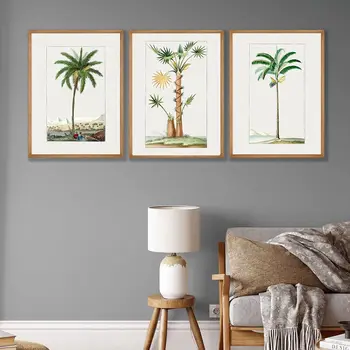 Derliaus Atogrąžų Botanikos Spaudinių Antikvariniai Palmių Plakatas Sienos Meno Tapybos Drobės Augalų Nuotraukų Kambarį Namų Dekoro